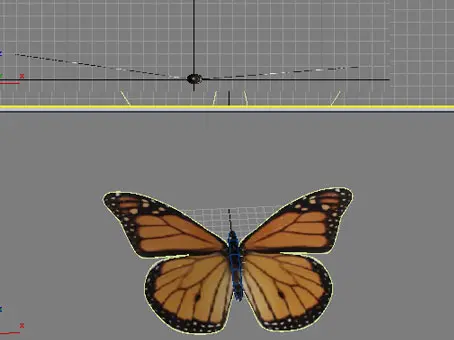 3D max制作蝴蝶舞动的GIF动画效果