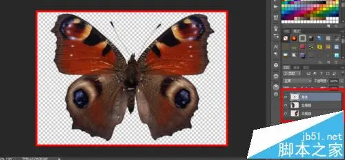 ae中怎么导入ps图片制作蝴蝶纷飞的动画?